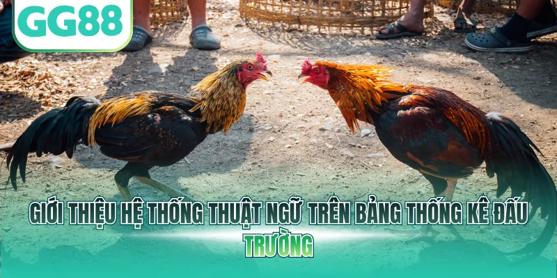 Giới thiệu hệ thống thuật ngữ trên bảng thống kê đấu trường