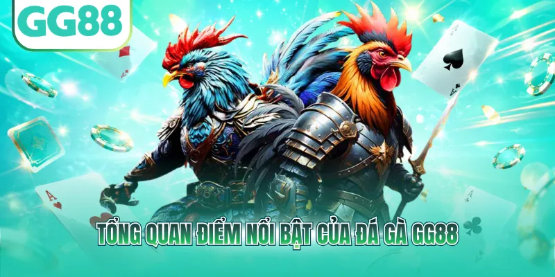 Tổng quan điểm nổi bật của đá gà GG88